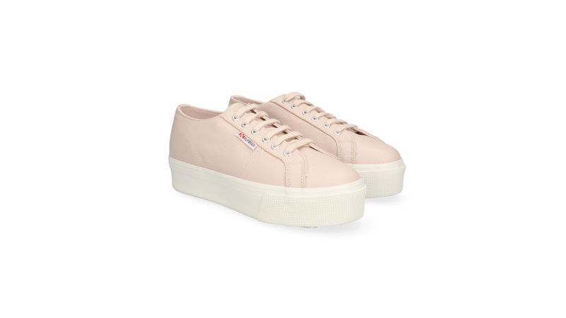 Rosa superga clearance